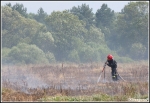 13.08.2013 - Piekielnik, BaligÃ³wka - PoÅ¼ar torfowiska