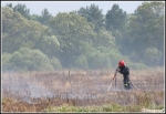 13.08.2013 - Piekielnik, Baligówka - Pożar torfowiska