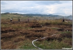 13.08.2013 - Piekielnik, BaligÃ³wka - PoÅ¼ar torfowiska