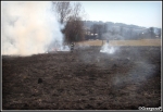 13.03.2014 - Skomielna BiaÅ‚a - PoÅ¼ar suchej trawy