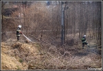 13.03.2014 - Skomielna BiaÅ‚a - PoÅ¼ar suchej trawy