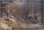 13.03.2014 - Skomielna Biała - Pożar suchej trawy