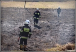 13.03.2014 - Skomielna BiaÅ‚a - PoÅ¼ar suchej trawy