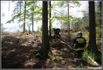10.06.2014 - Zakopane, Do MaÅ‚ej ÅÄ…ki - Pożar poszycia leÅ›nego 10.06.2014 - Zakopane, Do MaÅ‚ej ÅÄ…ki - Pożar poszycia leÅ›nego