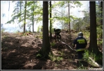 10.06.2014 - Zakopane, Do Małej Łąki - Pożar poszycia leśnego