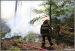 10.06.2014 - Zakopane, Do MaÅ‚ej ÅÄ…ki - Pożar poszycia leÅ›nego 10.06.2014 - Zakopane, Do MaÅ‚ej ÅÄ…ki - Pożar poszycia leÅ›nego