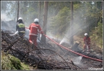 10.06.2014 - Zakopane, Do MaÅ‚ej ÅÄ…ki - PoÅ¼ar poszycia leÅ›nego