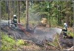 10.06.2014 - Zakopane, Do MaÅ‚ej ÅÄ…ki - Pożar poszycia leÅ›nego 10.06.2014 - Zakopane, Do MaÅ‚ej ÅÄ…ki - Pożar poszycia leÅ›nego