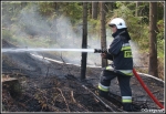 10.06.2014 - Zakopane, Do Małej Łąki - Pożar poszycia leśnego