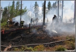 10.06.2014 - Zakopane, Do MaÅ‚ej ÅÄ…ki - Pożar poszycia leÅ›nego 10.06.2014 - Zakopane, Do MaÅ‚ej ÅÄ…ki - Pożar poszycia leÅ›nego