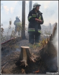 10.06.2014 - Zakopane, Do Małej Łąki - Pożar poszycia leśnego