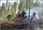 10.06.2014 - Zakopane, Do MaÅ‚ej ÅÄ…ki - Pożar poszycia leÅ›nego 10.06.2014 - Zakopane, Do MaÅ‚ej ÅÄ…ki - Pożar poszycia leÅ›nego