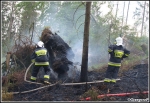 10.06.2014 - Zakopane, Do MaÅ‚ej ÅÄ…ki - PoÅ¼ar poszycia leÅ›nego