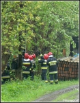 15.05.2014 - Rdzawka - Drzewo na słupie energetycznym