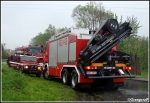15.05.2014 - Rdzawka - Drzewo na sÅ‚upie energetycznym